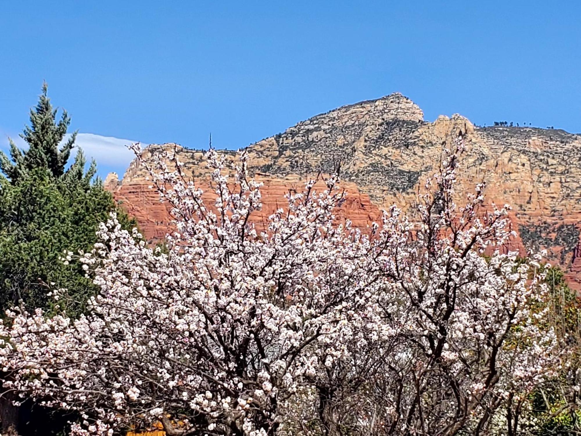 Sedona Radiance, Telescope & Stars, Grand Red Rock Views Patio Deck, Pool & Hot Tub, Fire Pit! Villa Exterior photo